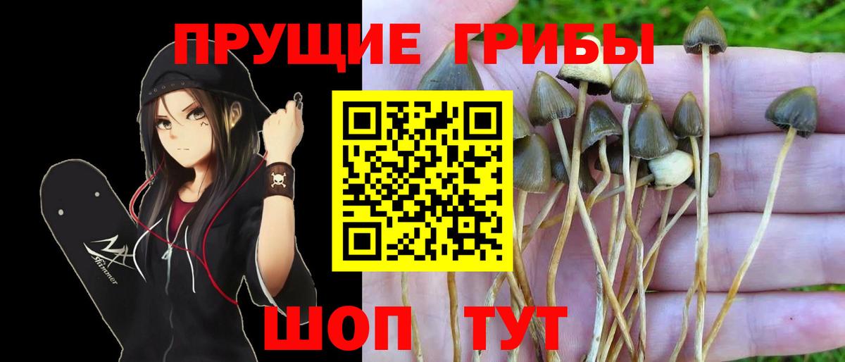 Галлюциногенные грибы мухоморы Коломна